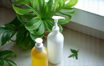 Natural cleaning products and green plant by a sink